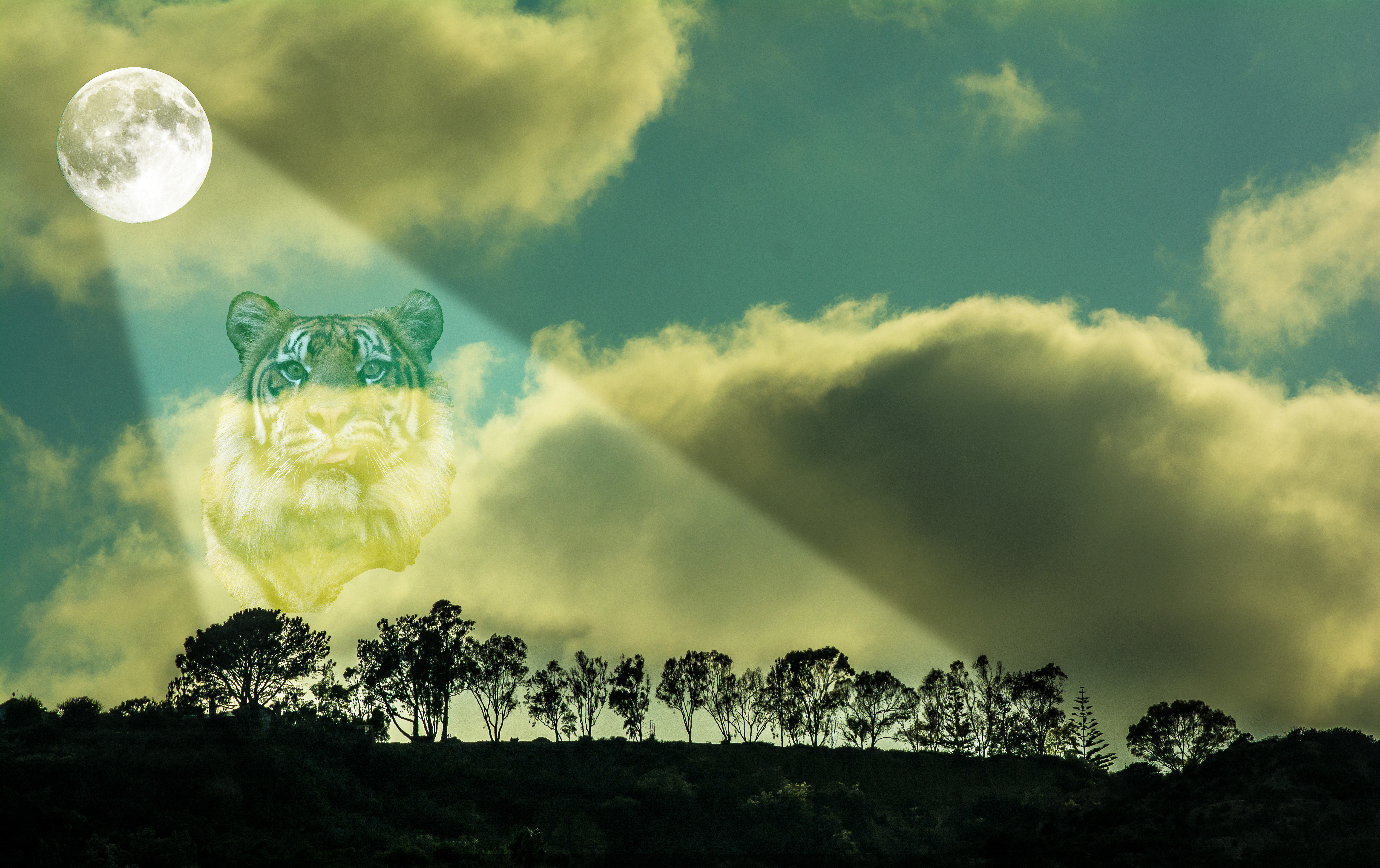 compo-water-clouds-trees-light-moon-tiger