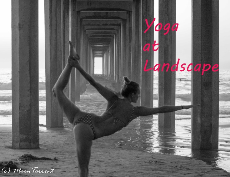 yoga-at-landscape